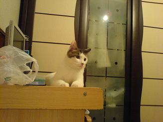 dsc00153.JPG