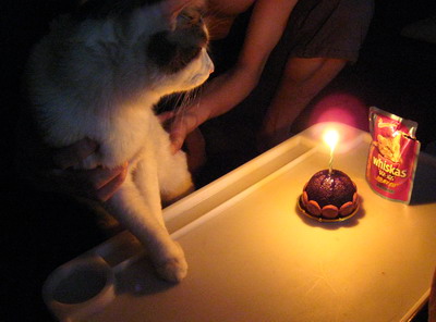 img_0576_1.jpg